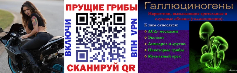 Псилоцибиновые грибы GOLDEN TEACHER  закладки  Талица 