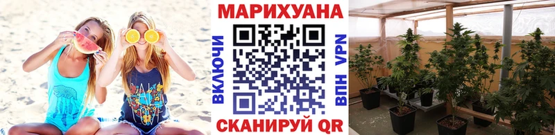 Марихуана марихуана  hydra зеркало  Талица 